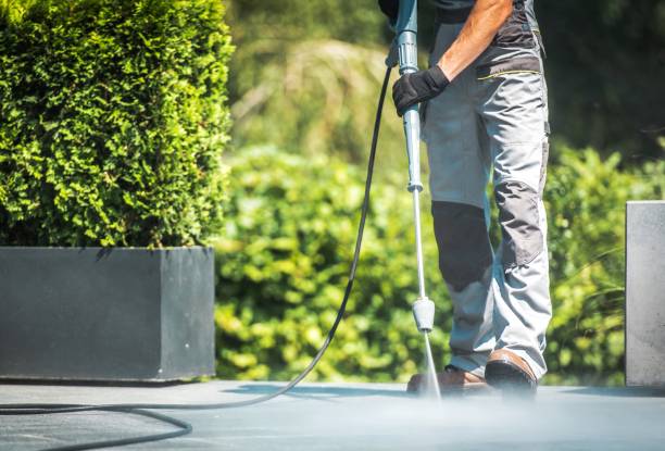 Best Patio and Deck Pressure Washing  in Darrington, WA