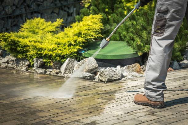 Best Gutter Cleaning  in Darrington, WA