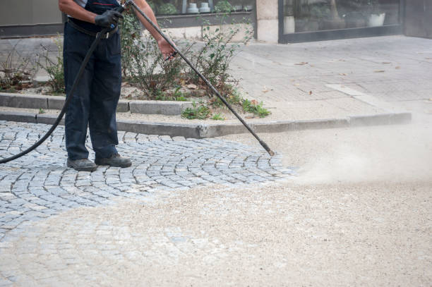 Best Fence Cleaning  in Darrington, WA